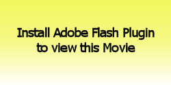 Install Adobe Flash plugin to view movie